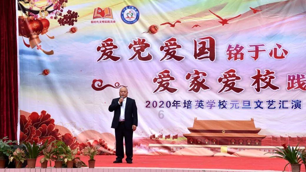 牛头梗和比特犬哪个厉害,能详细介绍一下吗-机智问答,智能回答问题的网站